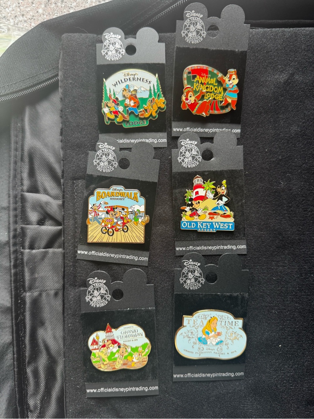 Disney Resort Series Trading Pins